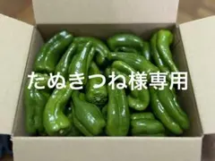 たぬきつね様専用