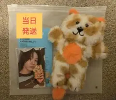 BOYNEXTDOOR ぬいぐるみ ボネクド プネクド キーリング ソンホ