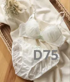 【新品】ブリーズフルールブラ&ショーツセット ブラセット D75 L