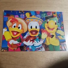 ディズニーリゾート　ドナルド　ポストカード