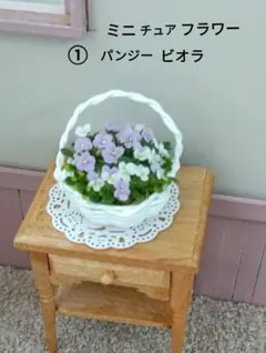 ①ミニチュアフラワーかご植えのサムネイル