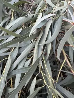 yuki様専用ご商談中でございます…*＊