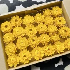 お花屋　在庫お問い合わせください◎様 リクエスト 2点 まとめ商品