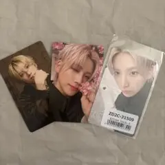 &TEAM ユウマ　YUMA トレカ3枚セット