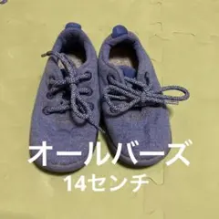 Item thumbnail for item 8082ab0a-22ac-462f-a7bf-b871c431e3ef