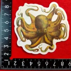 Item thumbnail for item 55d98319-1676-4ce5-9cb1-586bdc932f98