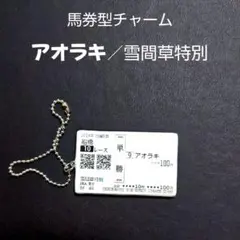 馬券型チャーム ハンドメイド アオラキ