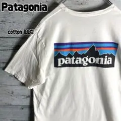 Patagonia　パタゴニア　Tシャツ　両面プリント　オーガニックコットン　白