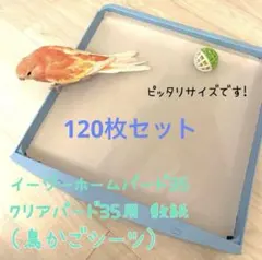 Item thumbnail for item 2aa0c94a-c7f1-47ea-94c5-f3f9ca1b4453