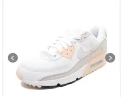 NIKE AIR MAX90 ホワイト/プラチナティント CT1030-101