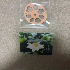 Item thumbnail for item 1dd89bc0-e18d-4daa-9dc7-4bca612fccb6