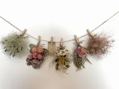 サボテン様 リクエスト 2点 まとめ商品