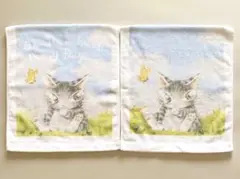 未使用 わちふぃーるど BABY'03 フェイスタオル 2枚セット 猫のダヤンンのサムネイル