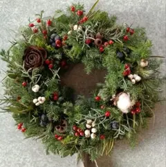 クリスマスリース 25-Ⅹ　針葉樹のリース ナチュラルリース　ドライフラワー