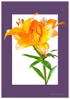 【A4サイズ】LAユリ アマテラス 007 ポリゴンアート