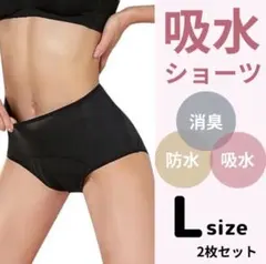 サニタリー パンツ 吸水ショーツ ピラティス ブラック レディース 2枚セット