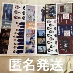 SnowMan A4サイズステッカーシート6点