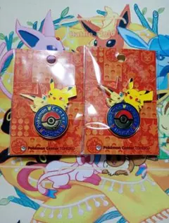 ポケモンセンタートウホク ロゴピンズ ピカチュウ ビクティニ