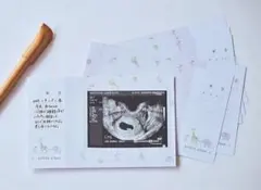 GELATO PIQUE アルバム たまひよ たまごクラブ