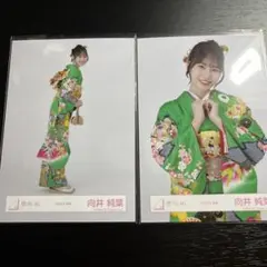 櫻坂46 向井純葉　2026年振袖