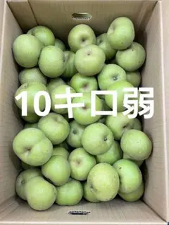 茨城県産　摘果梨　幸水梨（加工用）箱込み約10キロ弱のサムネイル