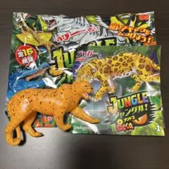 ジャングルアンドコ