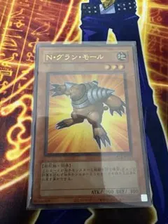 N・グラン・モールのサムネイル