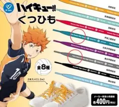 ハイキュー　靴紐　ガチャ　２つセット