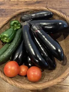 新鮮野菜セット なす ピーマン きゅうり トマトのサムネイル