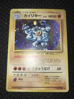 コンソメWパンチ様 リクエスト 2点 まとめ商品