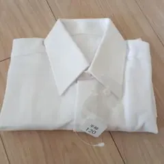 Item thumbnail for item 5a81da71-6240-431f-878a-052394e94d6a