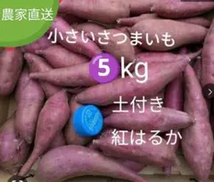 小さい紅はるか　箱込み約5kg