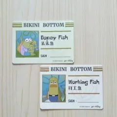 スポンジボブ BIKINI BOTTOM IDカード 2枚セット　＊匿名配送