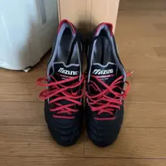 モレリアネオIV 26cm