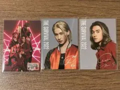 THE SURVIVAL フォトカード セット