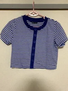 SHEIN ボーダー　クロップド丈カットソー