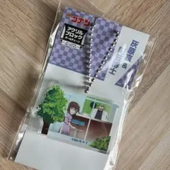 名探偵コナン アクリルブロックボールチェーン～ウィンドウコレクション～ 灰原哀