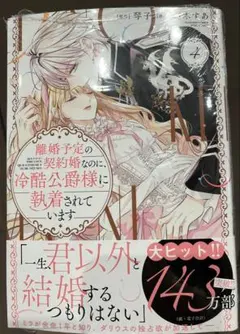 【新品未使用】離婚予定の契約婚なのに、冷酷公爵様に執着されています　4巻