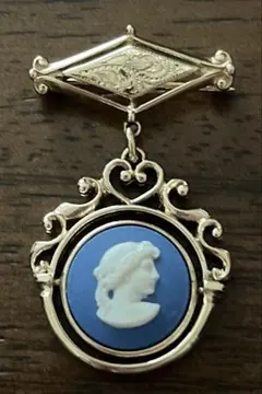 ウェッジウッド ブローチ ペンダント ネックレス ネクタイピン まとめ売り ウェッジウッド ブローチ ペンダント ネックレス ネクタイピン