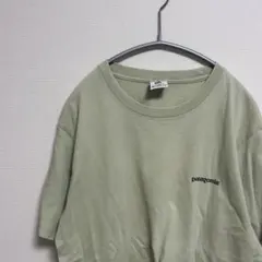 激レア　patagonia パタゴニア　ライトグリーン Tシャツ