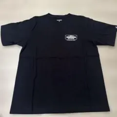 Item thumbnail for item b5549392-09eb-469a-acfb-4b217318a711