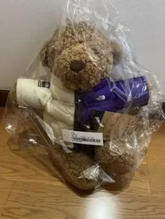 2025年最新】Supreme The North Face Bearの人気アイテム - メルカリ