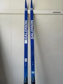SALOMON S/LAB スケーティング　192cm クロスカントリースキー SALOMON S/LAB スケーティング 192cm クロスカントリースキー - メルカリ