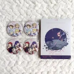 スタライ 8th BluRay 缶バッジ 紅月 Ra*bits