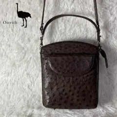 ほぼ未使用 オーストリッチ レザー 本革 ショルダーバッグ ポーチ ブラウン