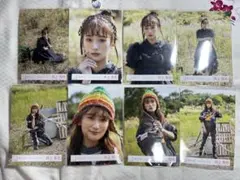 櫻坂46 井上梨名 生写真　木枯らしは泣かないMV衣装 backs 8種コンプ