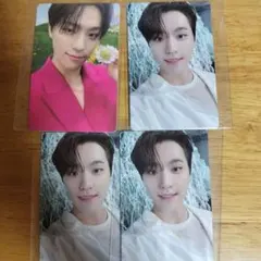 セブチ　ディノ　トレカ