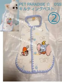 Item thumbnail for item aa464d9b-5eb5-4c21-9dc4-f244bca81208