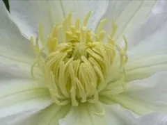 マスカットっとん様 リクエスト 2点 まとめ商品