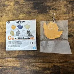 【ハイキュー‼︎】最強の挑戦者　一番くじ　G賞